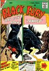 Cover for Black Fury (Charlton, 1955 series) #20