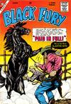 Cover for Black Fury (Charlton, 1955 series) #21