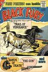 Cover for Black Fury (Charlton, 1955 series) #22