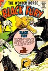 Cover for Black Fury (Charlton, 1955 series) #24