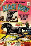 Cover for Black Fury (Charlton, 1955 series) #25