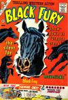 Cover for Black Fury (Charlton, 1955 series) #29