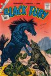 Cover for Black Fury (Charlton, 1955 series) #31