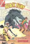 Cover for Black Fury (Charlton, 1955 series) #41