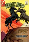 Cover for Black Fury (Charlton, 1955 series) #42