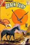 Cover for Black Fury (Charlton, 1955 series) #43