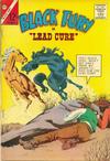 Cover for Black Fury (Charlton, 1955 series) #45