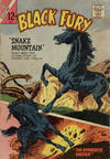 Cover for Black Fury (Charlton, 1955 series) #48