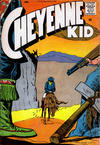 Cover for Cheyenne Kid (Charlton, 1957 series) #12