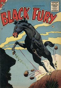 Cover Thumbnail for Black Fury (Charlton, 1955 series) #2