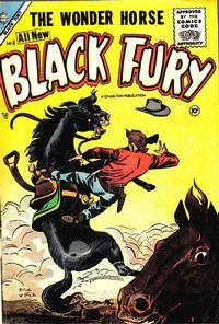 Cover Thumbnail for Black Fury (Charlton, 1955 series) #4