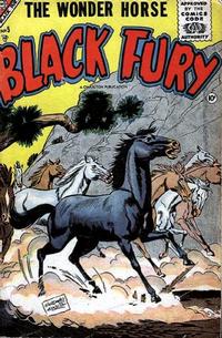 Cover Thumbnail for Black Fury (Charlton, 1955 series) #5