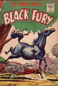 Cover Thumbnail for Black Fury (Charlton, 1955 series) #6