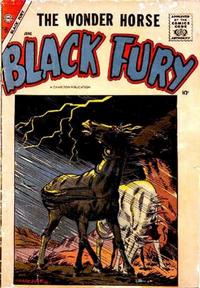 Cover Thumbnail for Black Fury (Charlton, 1955 series) #14