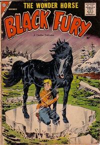 Cover Thumbnail for Black Fury (Charlton, 1955 series) #16