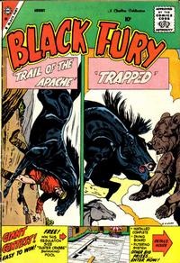 Cover Thumbnail for Black Fury (Charlton, 1955 series) #20