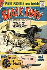 Cover Thumbnail for Black Fury (Charlton, 1955 series) #22