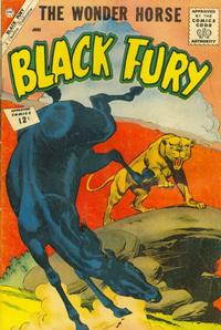 Cover Thumbnail for Black Fury (Charlton, 1955 series) #36