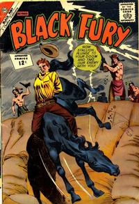 Cover Thumbnail for Black Fury (Charlton, 1955 series) #38
