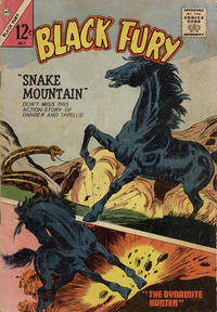 Cover Thumbnail for Black Fury (Charlton, 1955 series) #48