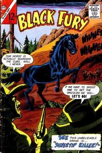 Cover Thumbnail for Black Fury (Charlton, 1955 series) #53