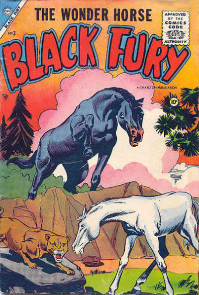 Cover for Black Fury (Charlton, 1955 series) #3