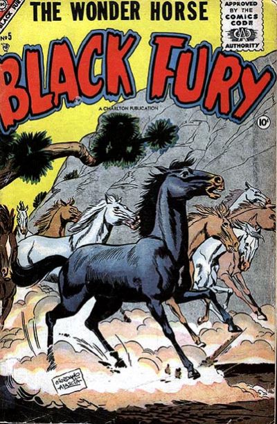 Cover for Black Fury (Charlton, 1955 series) #5