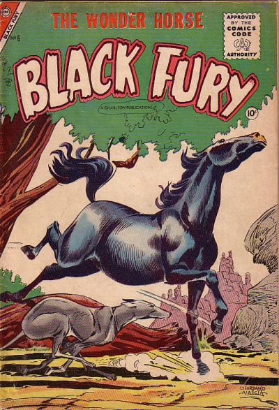 Cover for Black Fury (Charlton, 1955 series) #6