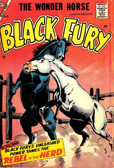 Cover for Black Fury (Charlton, 1955 series) #9