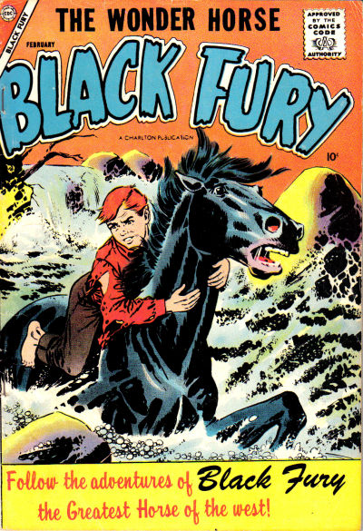 Cover for Black Fury (Charlton, 1955 series) #12