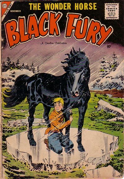 Cover for Black Fury (Charlton, 1955 series) #16