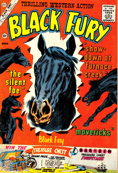 Cover for Black Fury (Charlton, 1955 series) #29