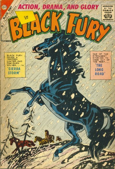 Cover for Black Fury (Charlton, 1955 series) #33