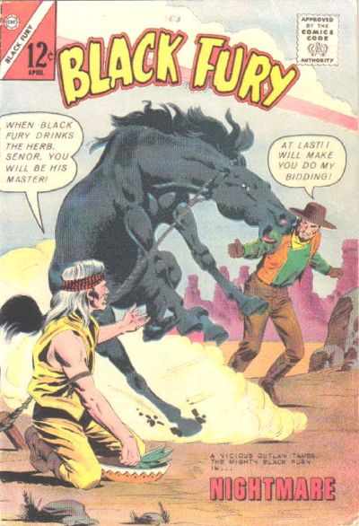 Cover for Black Fury (Charlton, 1955 series) #41