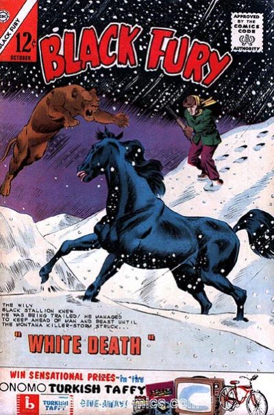 Cover for Black Fury (Charlton, 1955 series) #44