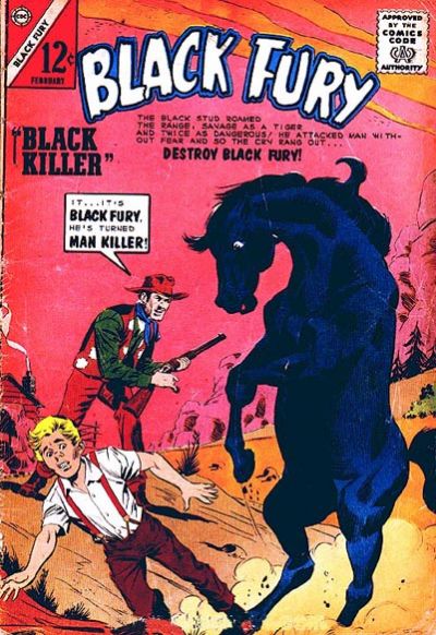 Cover for Black Fury (Charlton, 1955 series) #46