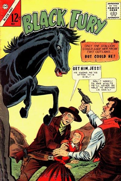 Cover for Black Fury (Charlton, 1955 series) #52