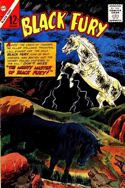Cover for Black Fury (Charlton, 1955 series) #56