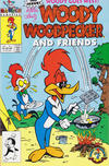 Cover for Woody Woodpecker and Friends (Harvey, 1991 series) #3 [Direct]
