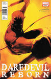 Cover Thumbnail for Daredevil: Reborn (2011 series) #2 [Newsstand]