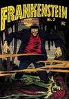 Cover for Frankenstein (ilovecomics, 2021 series) #3