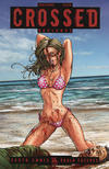 Cover Thumbnail for Crossed Badlands (2012 series) #25 [Bikini Cover - Matt Martin]