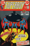 Cover for Superboy (DC, 1949 series) #193