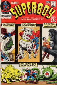 Cover Thumbnail for Superboy (DC, 1949 series) #174