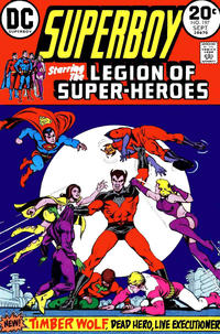 Cover Thumbnail for Superboy (DC, 1949 series) #197