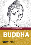 Cover for Buddha (Carlsen Comics [DE], 2012 series) #6 - Die Erleuchtung