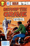 Cover for Beyond the Grave (Charlton, 1975 series) #13 [Canadian]