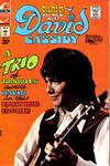 Cover for David Cassidy (Charlton, 1972 series) #8