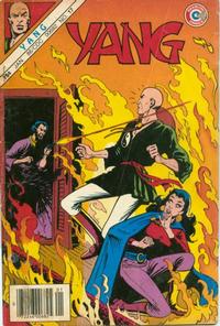 Cover Thumbnail for Yang (Charlton, 1973 series) #17