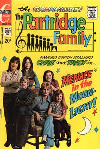 Cover Thumbnail for The Partridge Family (Charlton, 1971 series) #19
